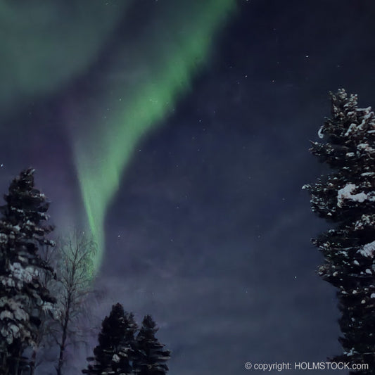 Noorderlicht reizen 2023 / 2024