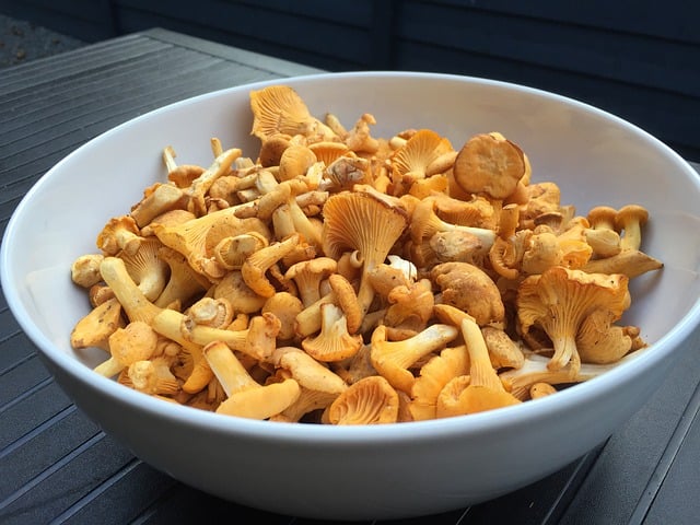 Cantharell reizen & recepten, Zweden en Finland