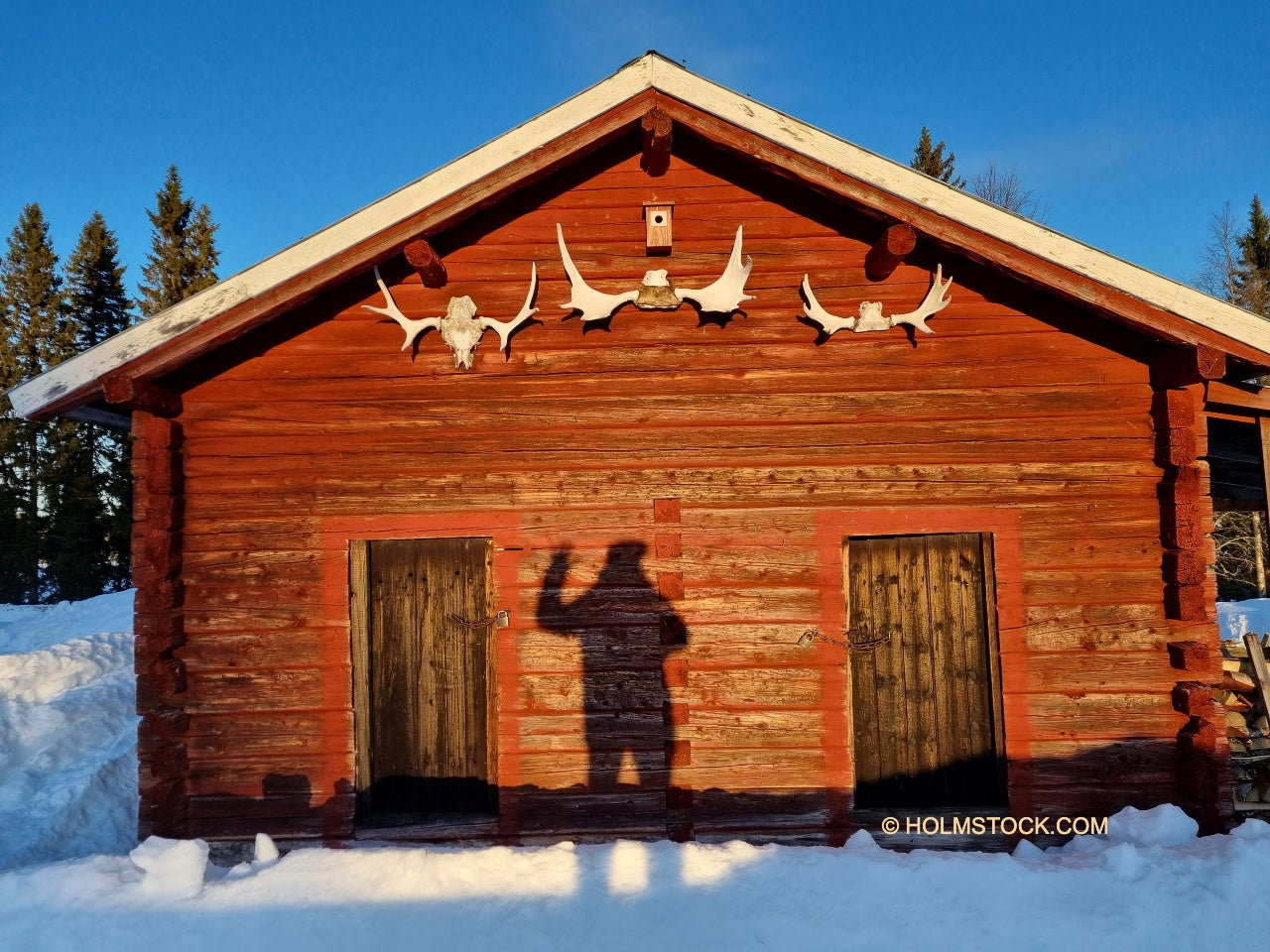 Elandgewei aan de buitenzijde van een zweedse schuur in arctisch Lapland. Deze schuur is gebouwd met vierkant balken en mogelijk al meer dan honderd jaar oud. Vroeger een bosboerderij vandaag een verblijf om te jagen of om vakantie te vieren.