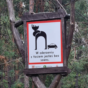 Elanden spotten in de Baltische Staten zoals hier in Polen dicht bij de grens met Lithouwen. Reis mee met Holmstock Travel
