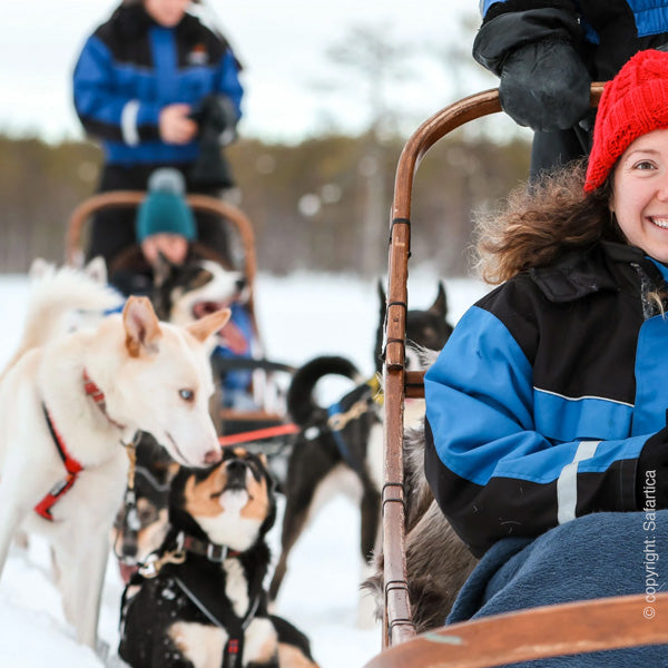Sledehondentocht met de husky slede of safari excursie in het winterse, finse, Lapland met reisbureau Holmstock Travel