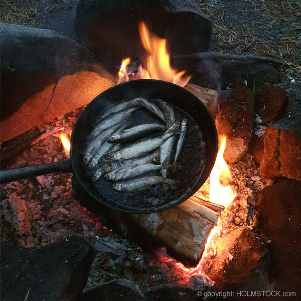 Outdoor cooking experience in Hossa Kainuun Finland. Boek je wildernes experience vakantie bij reisbureau Holmstock Travel. Wij bereiden vis, zoals verse zalm of Röding forel, Rendier en Eland in de dutch oven of hamburgers van rendierenvlees op de bbq grill. Geniet jij met ons mee op een kleine groepsreis.