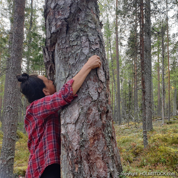 Wereldwijd de schoonste lucht vindt je in Finland. Beleef de bossen en meeren in Finland. Het tree-hugging is een bekend fenomeen in heel Scandinavië. Een speciale manier om tot rust te komen, energie te voelen of mindful te zijn.
