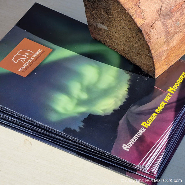 Reis boeken naar scandinavie, het hoge noorden, noorderlicht of husky safari winter 2023 2024