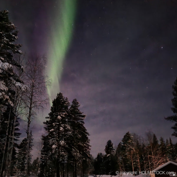 Noorderlicht dicht bij Harads Zweden in Zweeds Lapland. Hier kunt u genieten van het noorderlicht. Eventueel kunt u verblijven in het Tree-Hotel en excursies maken in de regio. Wij bieden onder andere ook sneeuwscooter safari's aan in die regio.