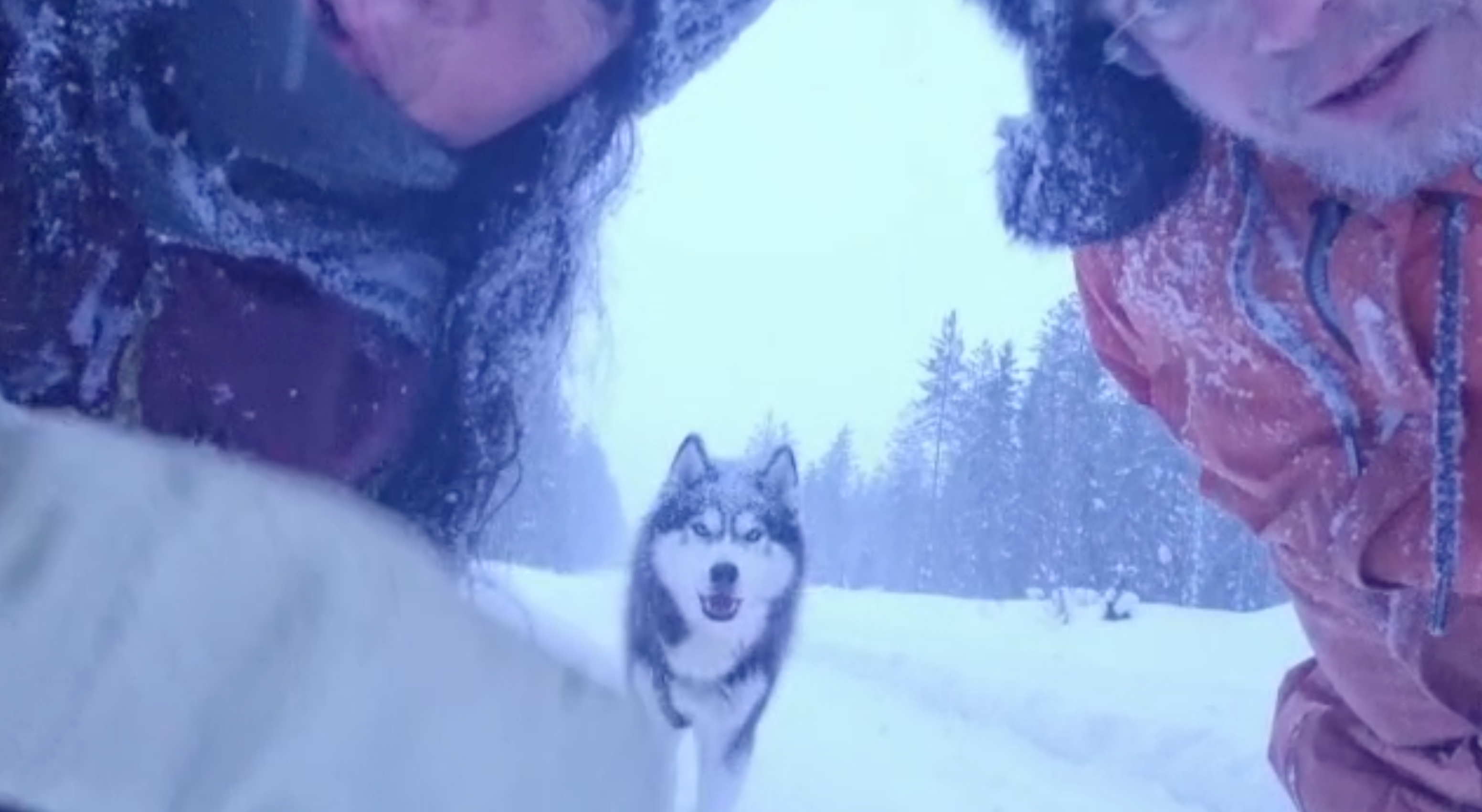 Video laden: Team Holmstock - exploring winter in Lappland