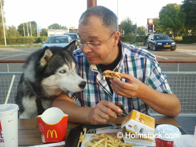 Patrick en siberische Husky Indy. Twee best friends die samen een hamburgertje delen. Samen genieten, daar draait vakantie toch om! Samen met je huisdier op vakantie naar Zweden of Finland is prima te doen. Ook naar Noorwegen gaat dat als je de juiste voorbereidingen treft. Vraag ons advies, wij hebben veel ervaring met het reizen met een hond naar Scandinavië bij Holmstock Travel.