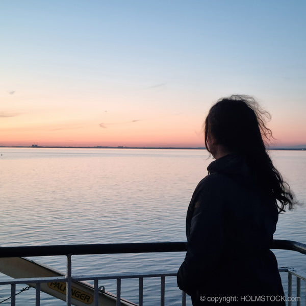Groepsreis naar Zweden, Veerboot van Travemünde naar Malmö met uitzicht op de havens van Malmö Zweden en Kopenhagen Denemarken. Wij varen in de ochtend door onder de Öresundsbrug.