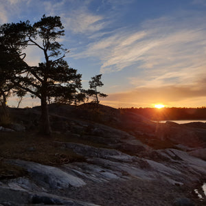 De kust van de zweedse Skärgården is zo prachtig, het is een van onze meest favoriete plekjes in Scandinavië. Ieder mens heeft zijn voorkeur, uiteraard. In de zomer is de Skärgården, die loopt langs de zweedse kust, langs de Åland eilanden en verder langs de Finse kust, simpelweg prachtig. Er valt veel te zien en te beleven. Wij nemen u graag mee op excursie.