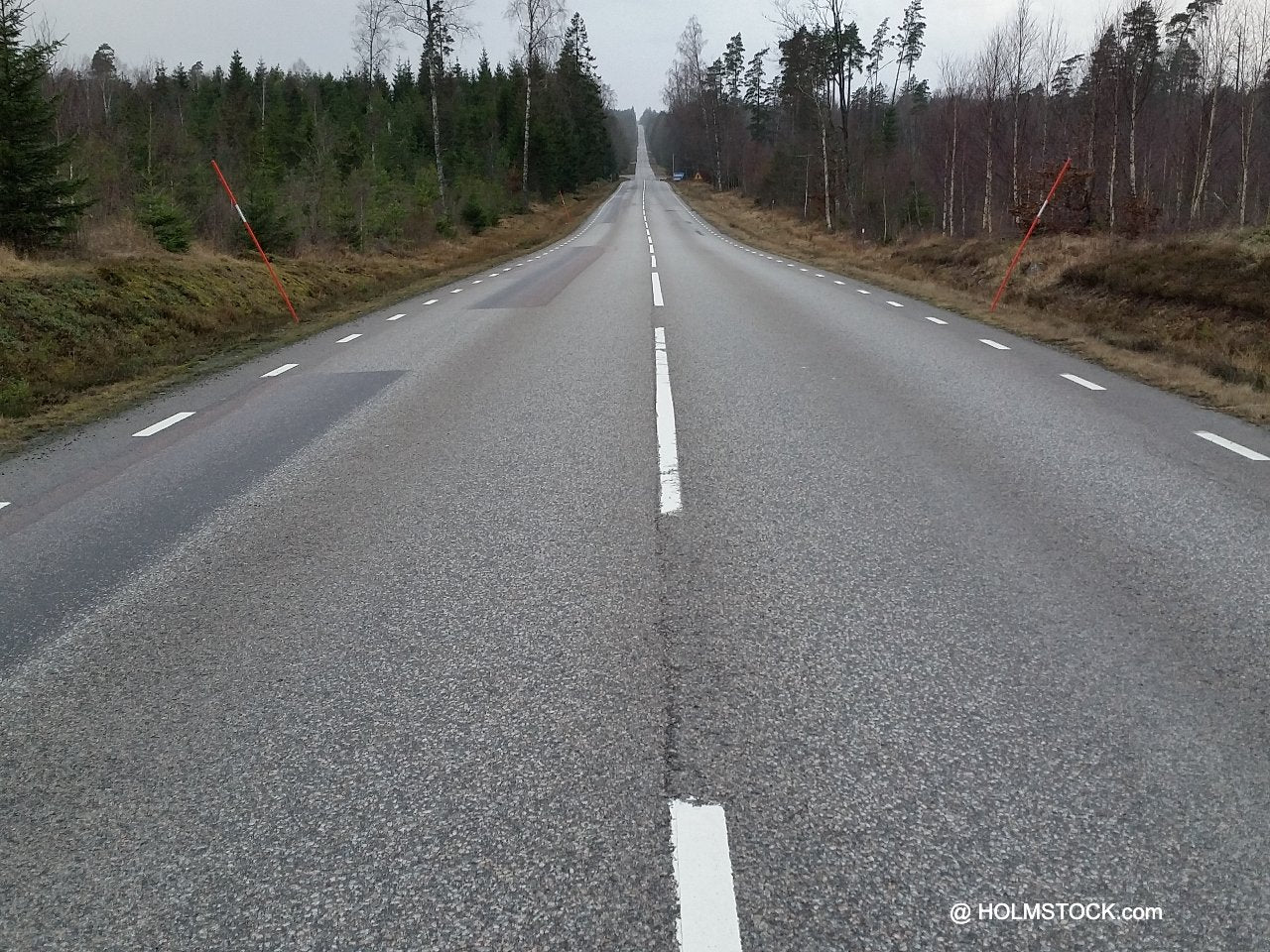 Autorondreis Zweden of Finland. De lange rustige wegen nodigen uit om rustig te cruisen. Overstekend wild zoals hert, wild zwijn en eland vraagt om uw oplettendheid maar biedt natuurlijk ook direct een uistekende foto gelegenheid als u deze wilde diren kunt spotten.