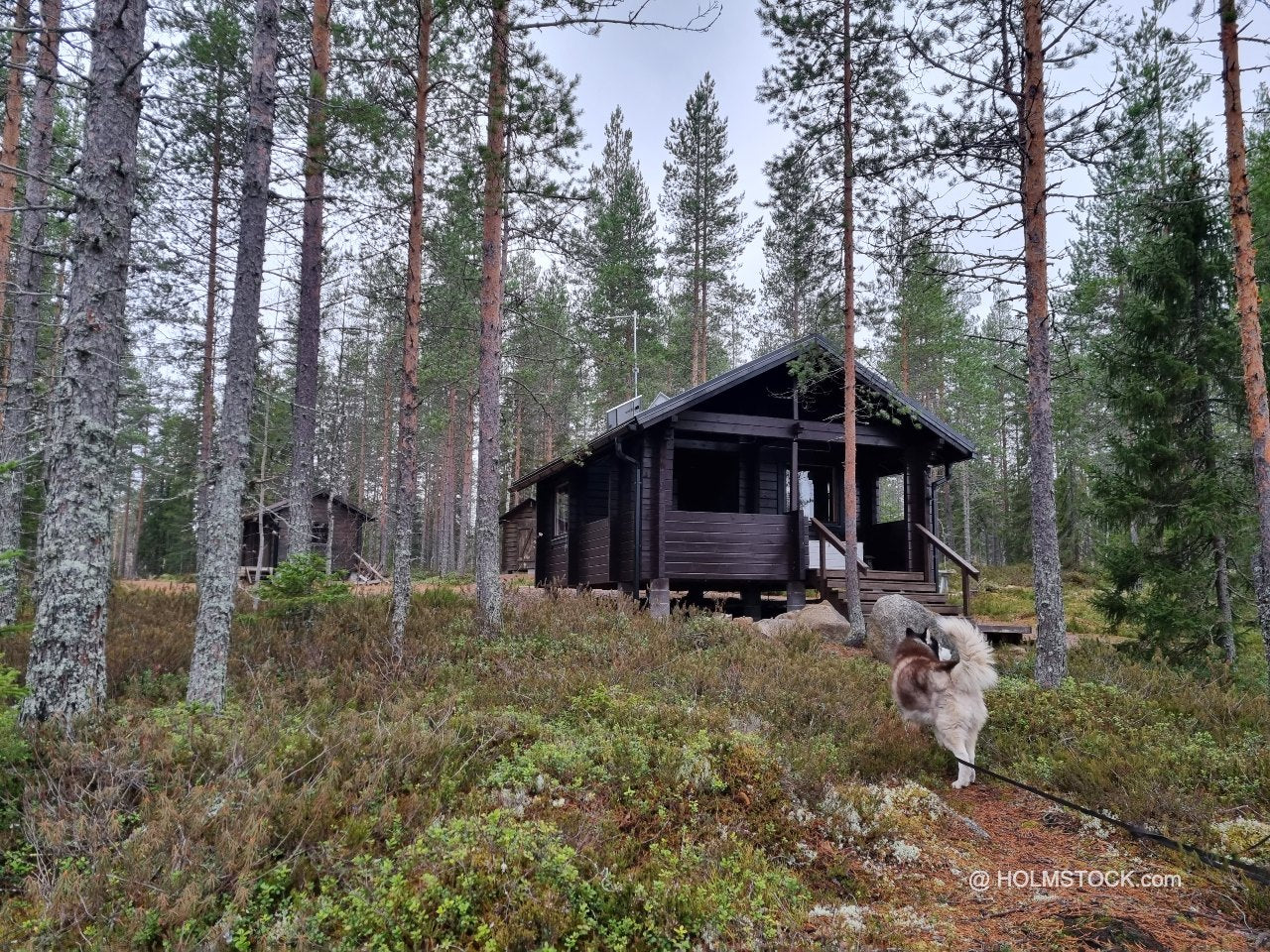Bungalow autorondreis Zweden en Finland. Verblijf in een loghouse of stuga in het bos en aan het meer. Ook uw huisdier is welkom. Reizen met uw hond, wij bieden graag uw advies.