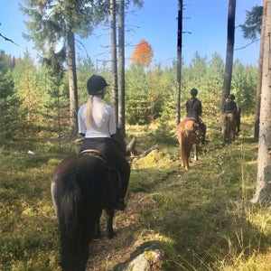 Paardrijden in Finland op ijslandse paarden. Ga mee op excursie en geniet van een rit door de finse bossen en lang de meest prachtige meren die Finland te bieden heeft. Boek je reis bij reisbureau Holmstock Travel en wees verzekerd van een goed georganiseerde reis.