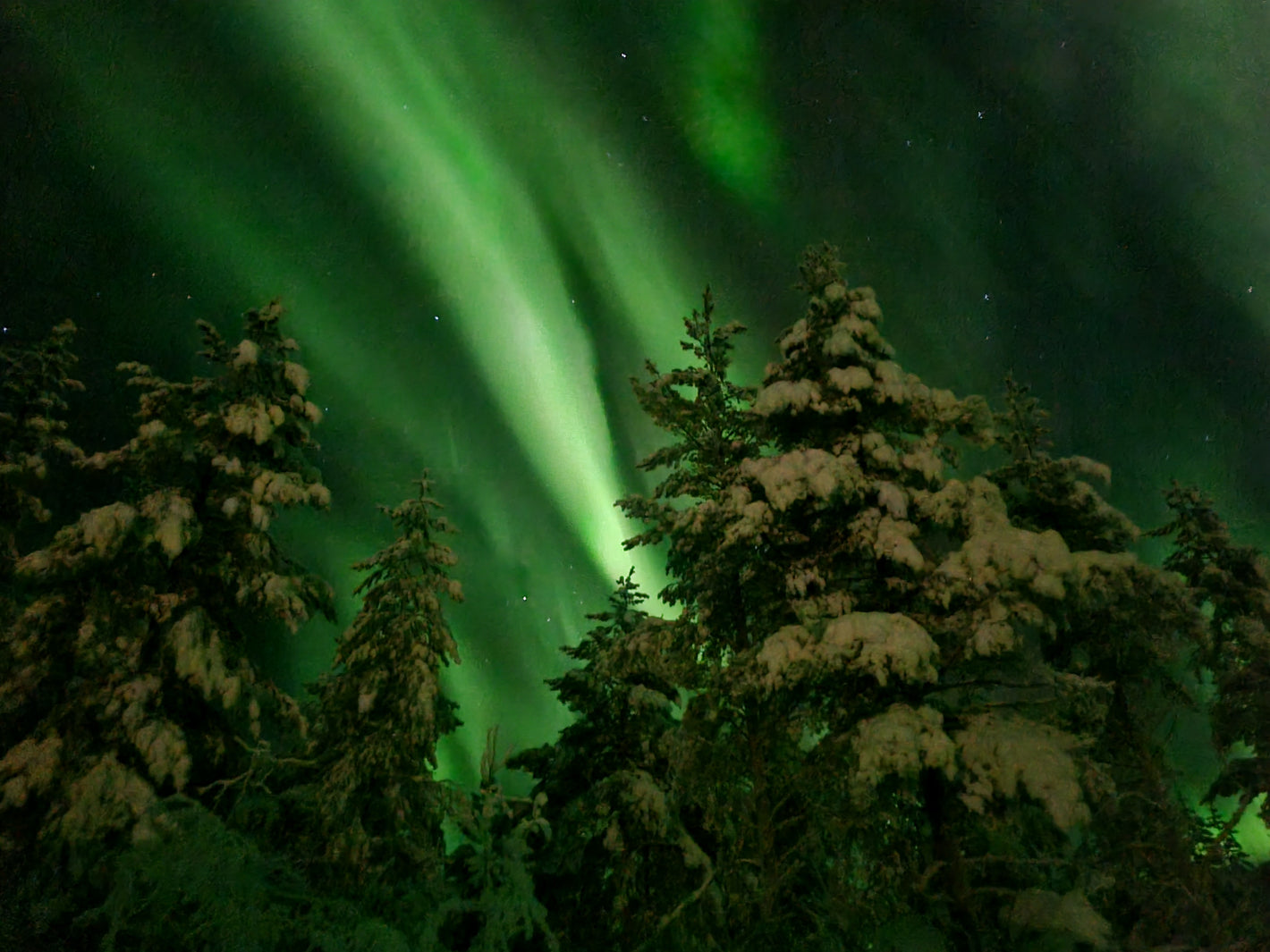Noorderlicht super sterk, sterrenhemel boven de arctic circle, avond na sneeuwscootersafari. Survival experience.