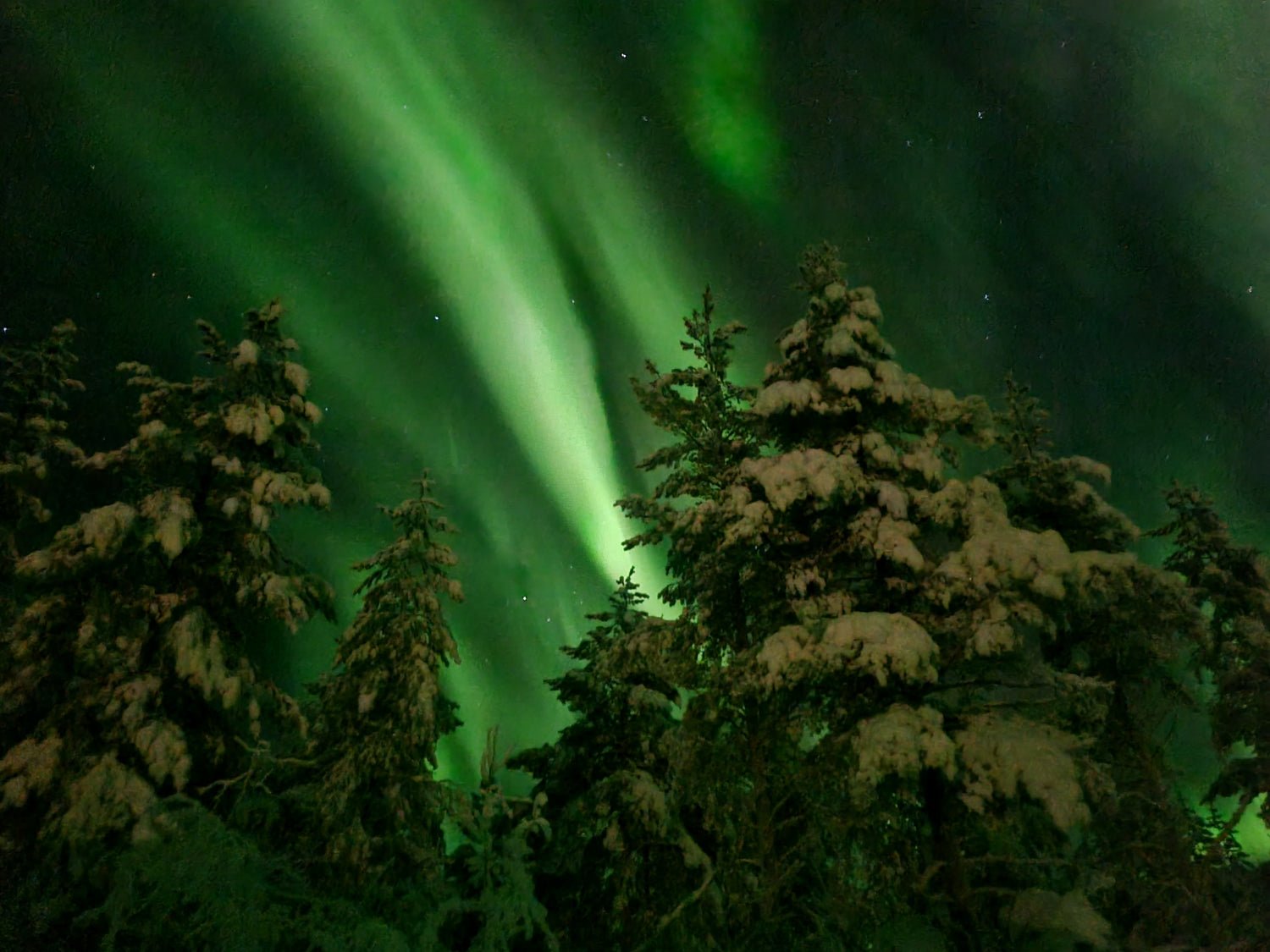 Noorderlicht super sterk, sterrenhemel boven de arctic circle, avond na sneeuwscootersafari. Survival experience.
