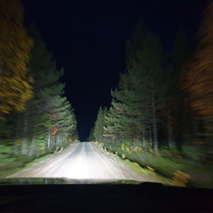 Over grindwegen rijden in de finse boreale bossen onderweg naar het Hossa nationaalpark voor een berensafari. Boek je berensafari bij reisbureau Holmstock Travel.