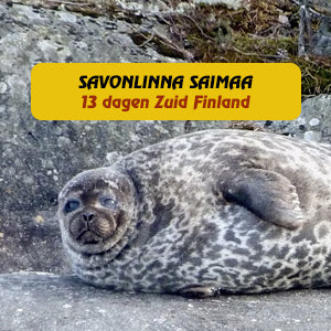 Savonlinna Finland, Saimaa meer. Zeehonden safari. Boek je reis bij reisbureau Holmstock Travel