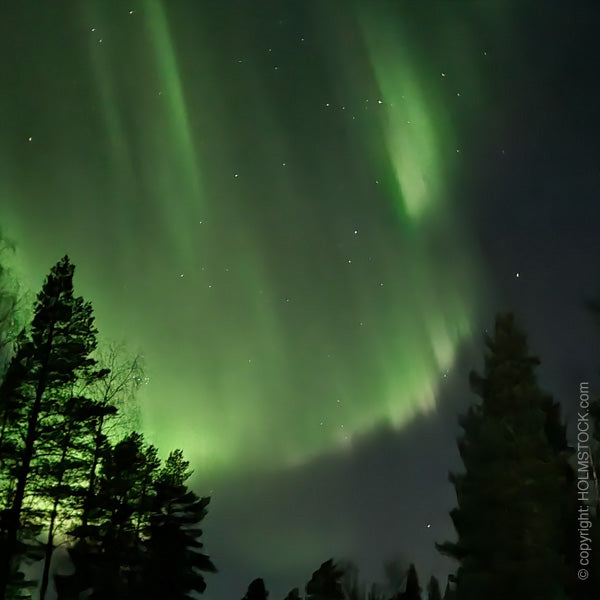Boek je Aurora experience reis Fins Lappland en ga op excursie met reisbureau Holmstock Travel - Boek nu!
Aurora sightings met gids of op eigen initiatief. Reizen als fly-drive of als kleine groepsreis. Ook voor huwelijksreis of incentive reizen.
