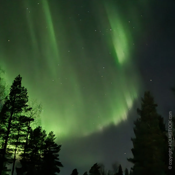 Boek je Aurora experience reis Fins Lappland en ga op excursie met reisbureau Holmstock Travel - Boek nu!