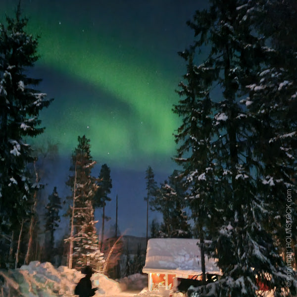 Noorderlicht reis Finland Lappland Hoge Noorden incl. Loghouse Cabin huur boeken bij reisbureau Holmstock Travel online - Kies opties zoals hottub, sauna, gids, experience of chauffeur.