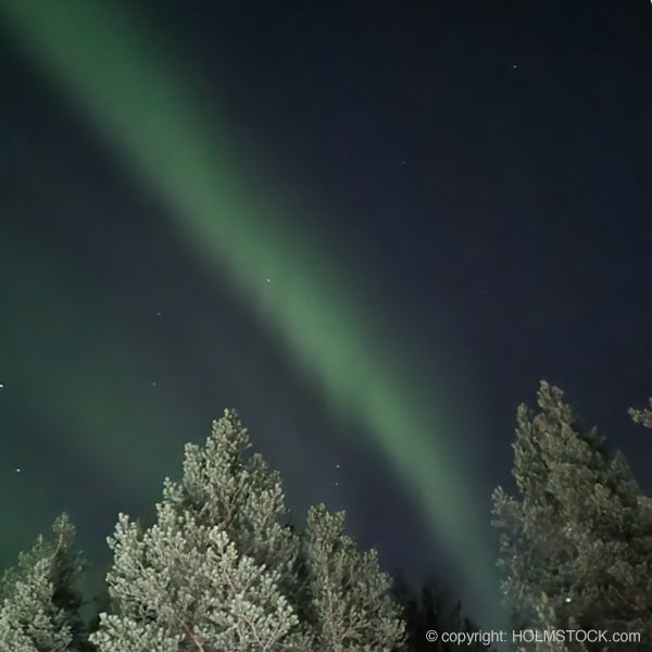 Noorderlicht reis boeken naar Rovaniemi Finland Winter 2025 2026 2027 met reisbureau Holmstock Travel. Ons advies: Wacht niet te lang met boeken. Er is wereldwijd interesse in deze fraaie reizen en mede door het verantwoord reizen beleid en zorg voor de natuur flora en fauna in Finland is er een limiet aan beschikbaarheid van zowel accomodatie als ook excursies.