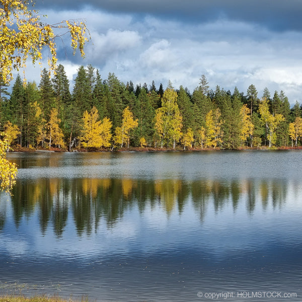 Natuurpark Hossa in Kainuun Finland met zijn prachtige meren en uitgestrekte boreale bossen. Hier zwerven beren en ander wild.