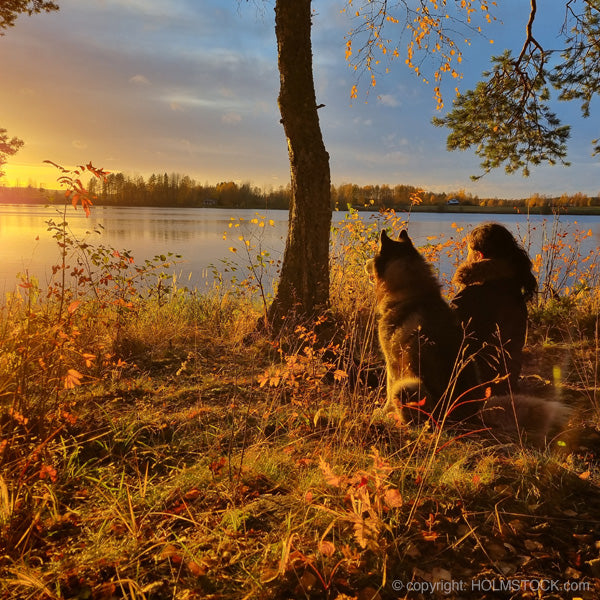 Linda en Moscow, aan de kustlijn van een van de finse meren in hartje Finland. Genieten van de zonsondergang.