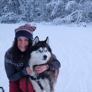 Husky knuffelen experience en safari in Fins Lapland op zoek naar het noorderlicht met Holmstock Travel reisbureau