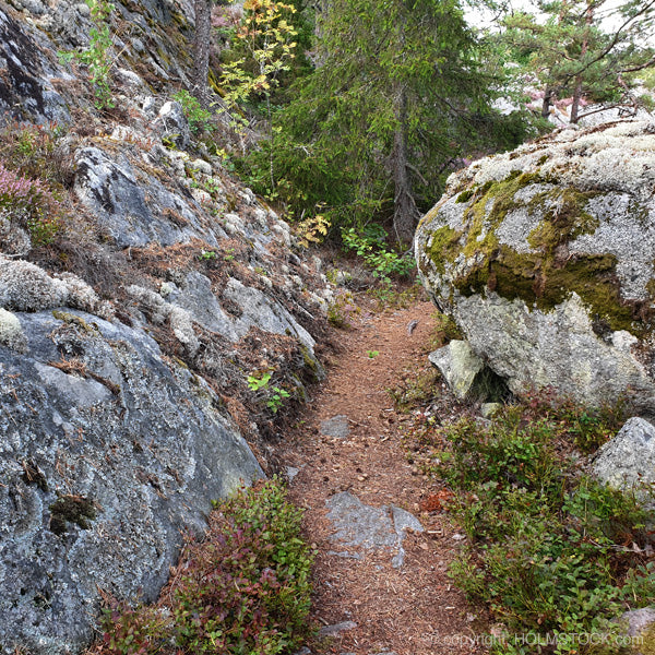 Rotsachtige natuur wandeling in de Skärgården met gids. Groepsreis Zweden Stockholm region met Holmstock Travel - Nu online boeken