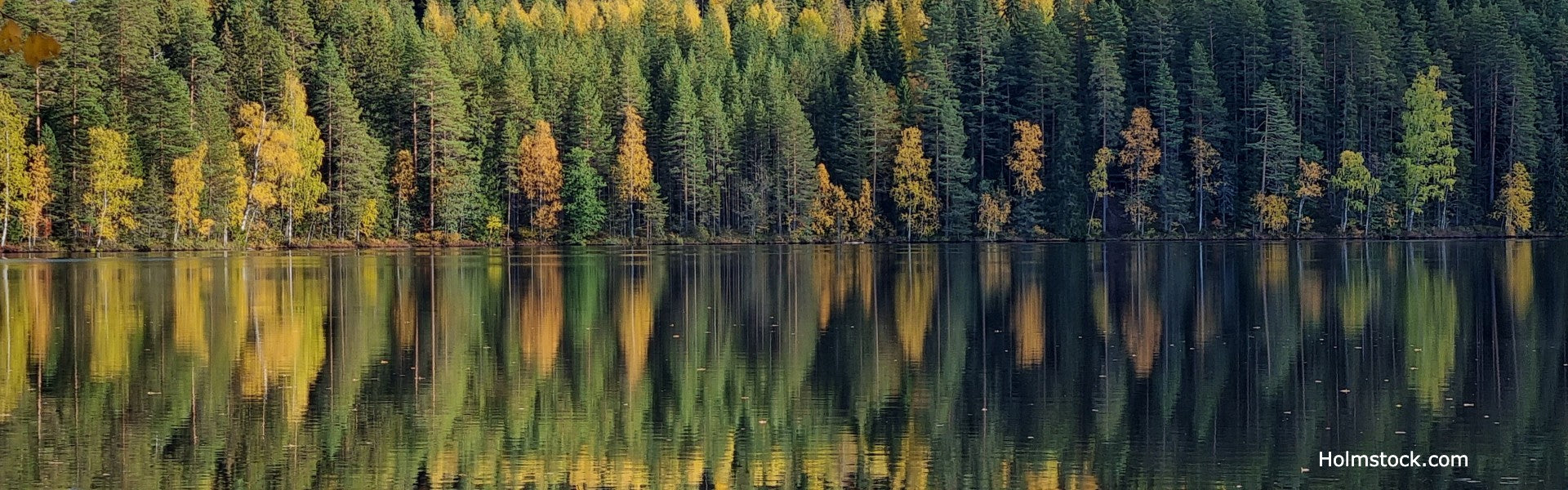 Finland heeft prachtige nationale parken, bosgebieden en meren. Deze weerspiegeling van een bos in het stilstaande water bij Tampere is daar een prachtig voorbeeld van. Reis mee met reisbureau Holmstock Travel op vakantie naar Finland en geniet van ongerepte natuur.
