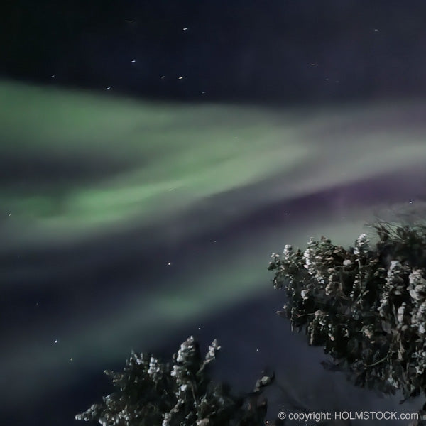 Noorderlicht reis boeken - Winter 2023 of Voorjaar 2024 - Finland, Zweden, Lapland. Aurora Borealis bucket list item doen. Boek nu!