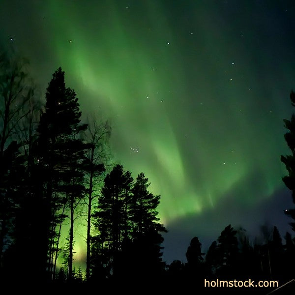 Noorderlichtreis boeken om het noorderlicht tijdens je Lapland reis echt te zien. Een garantie kan niemand geven maar Holmstock Travel kan bouwen op enorm veel ervaring.
