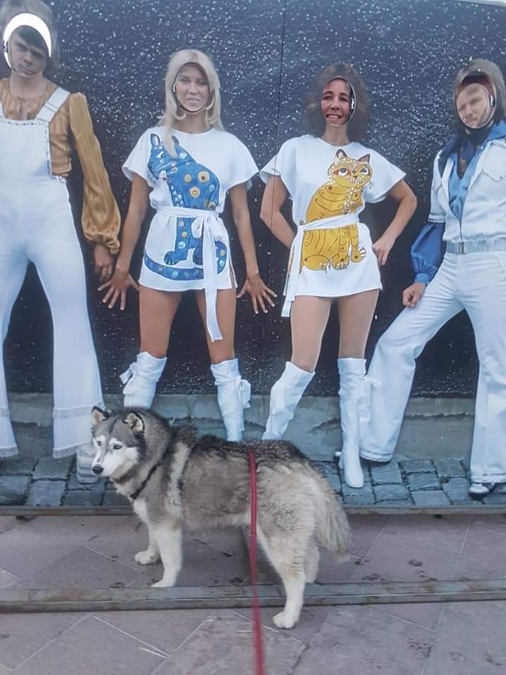 Vakantie Zweden: Wat te doen? Er is prachtig veel te doen in Zweden. Neem Stockholm alwaar de attracties haast oneindig zijn. Het Abba Museum op Skansen is bijvoorbeeld geweldig leuk. Zeker niet duur en zo ontzettend leuk dat zelf een niet-abba-fan fan wordt van Abba.