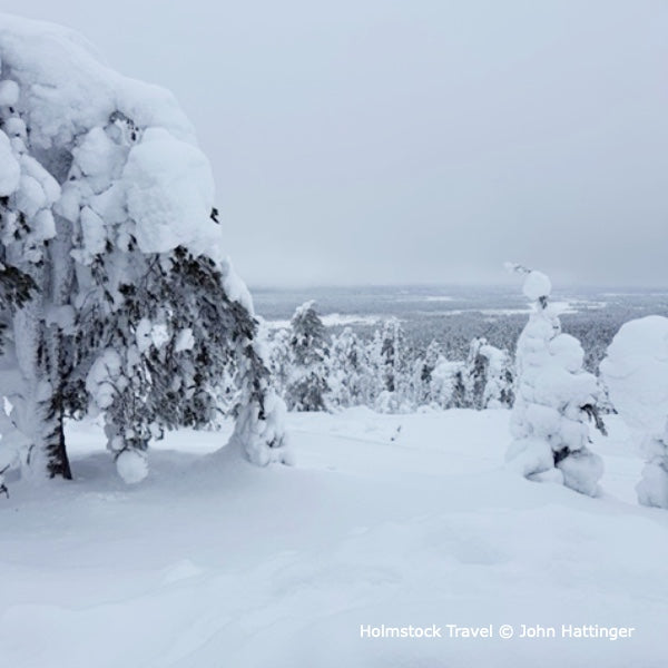Boven de arctic circle is de wereld heel anders. Kleine boompjes worden kunstwerkjes door de erop liggende sneeuw. Het zonlicht en de maneschijn maken het helemaal af. Eventueel noorderlicht is de kers op de taart.