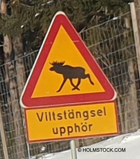 Eland waarschuwing langs de weg. Niet overal staan hekwerken. Het verkeer dient altijd rekening te houden met de aanwezigheid van wild, in het speciaal Elanden. Wees altijd voorzichtig. Tip van Holmstock Travel Reisbureau voor Scandinavie reizen met de focus op Zweden en Finland.