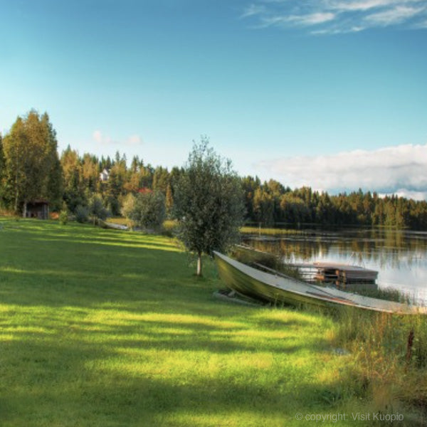 Vaak huur je een loghouse in Finland met daarbij een roeiboot. Soms zelfs gratis inbegrepen in de prijs. Afhankelijk van het aanbod.